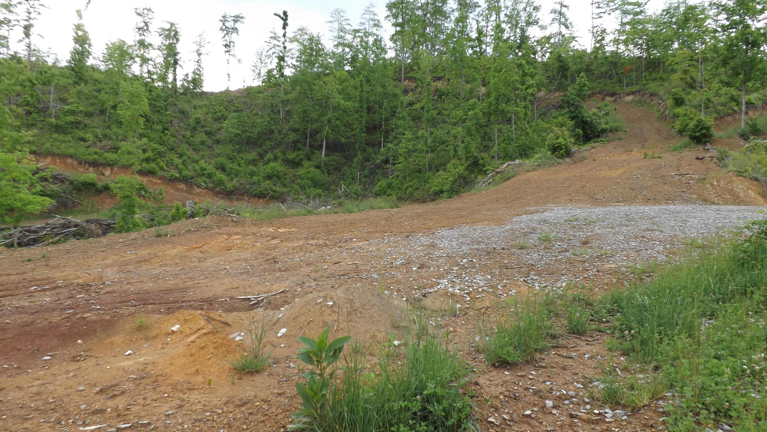 Osborne Ridge Road, Dungannon, Virginia image 12