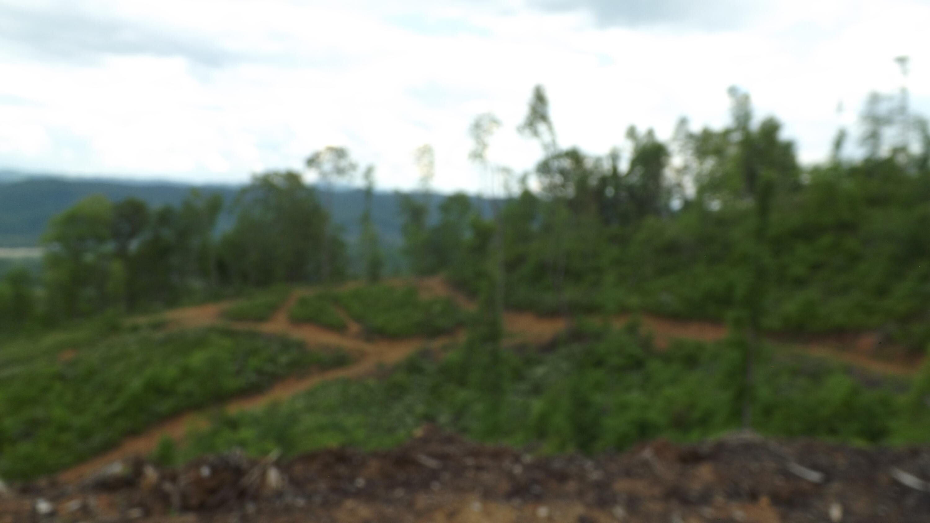 Osborne Ridge Road, Dungannon, Virginia image 10