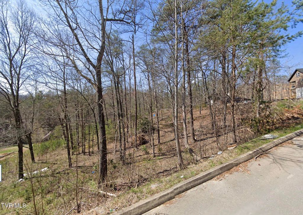 Photo of 3020 Cloudburst Drive, Sevierville, TN 37862 (MLS # 9988219)