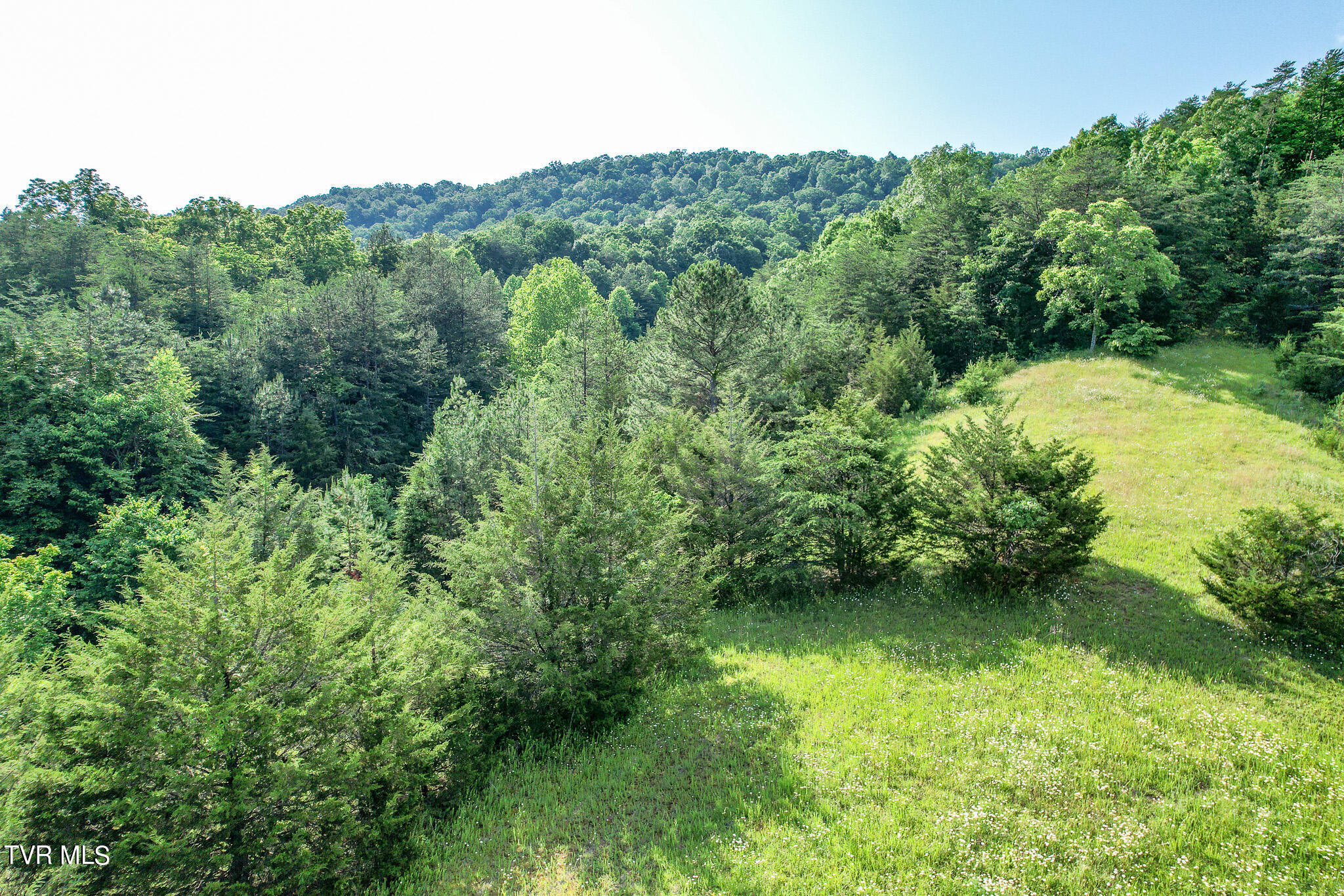 1025 Pilot Mtn Road, Bulls Gap, Tennessee image 20