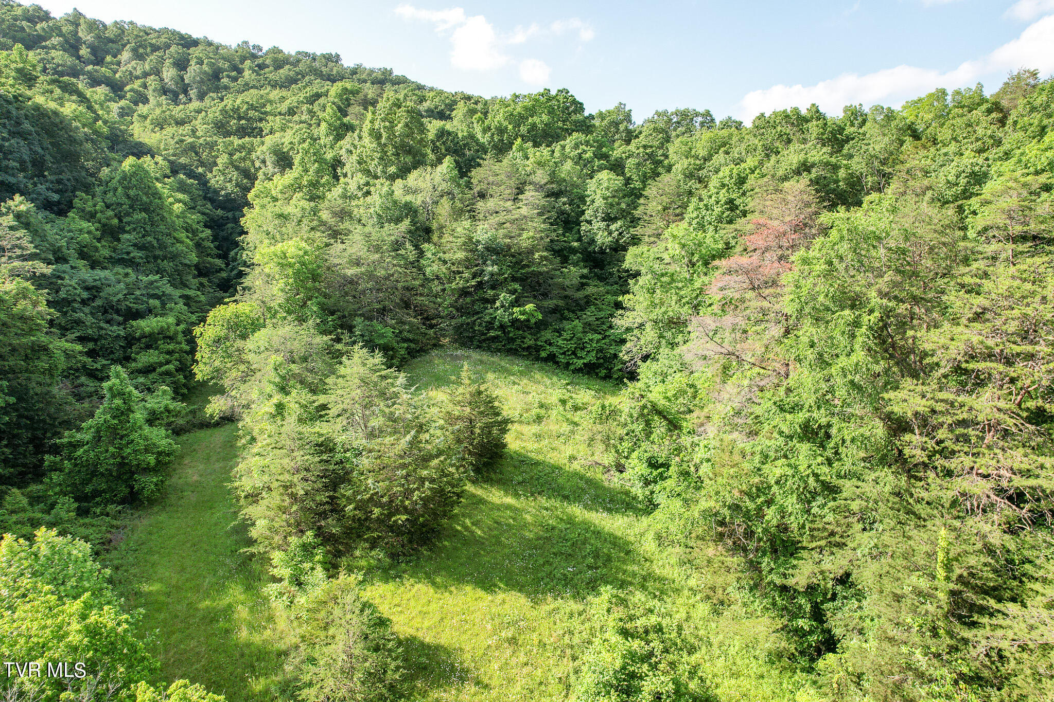 1025 Pilot Mtn Road, Bulls Gap, Tennessee image 23