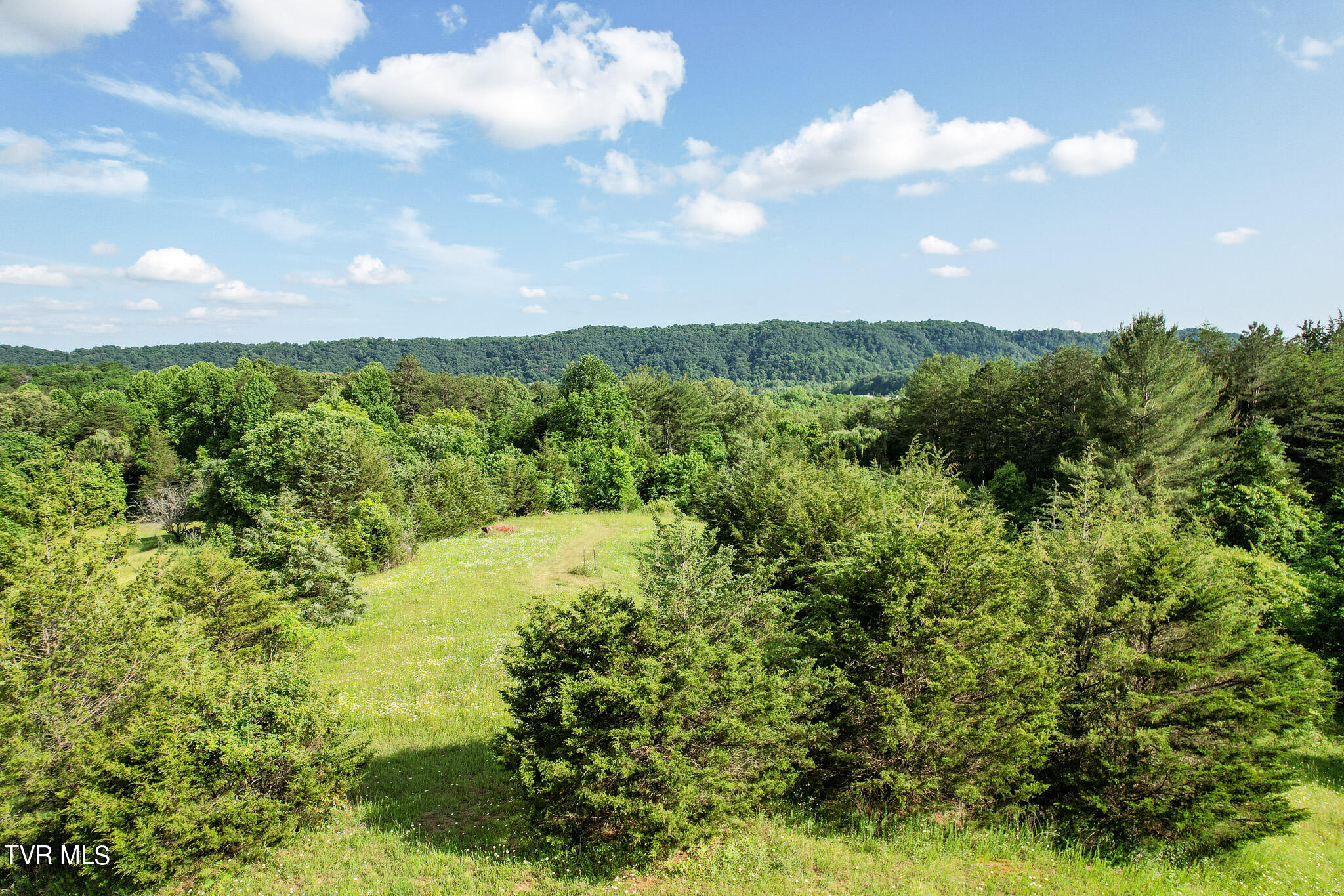 1025 Pilot Mtn Road, Bulls Gap, Tennessee image 22