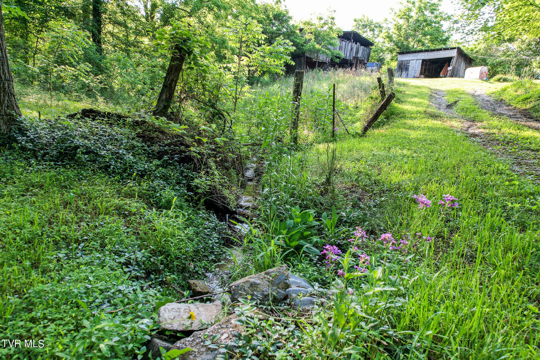 1025 Pilot Mtn Road, Bulls Gap, Tennessee image 11