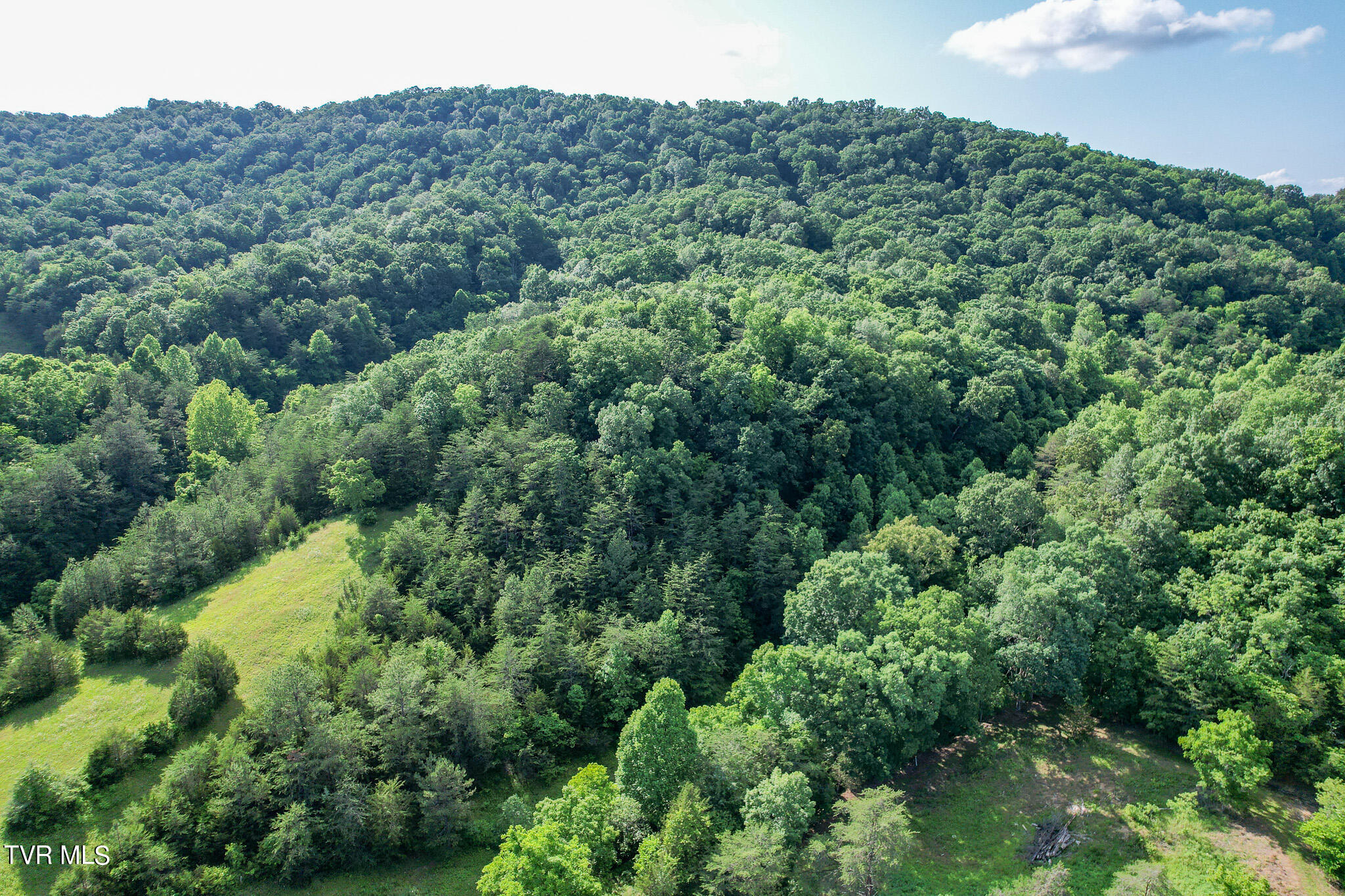 1025 Pilot Mtn Road, Bulls Gap, Tennessee image 18