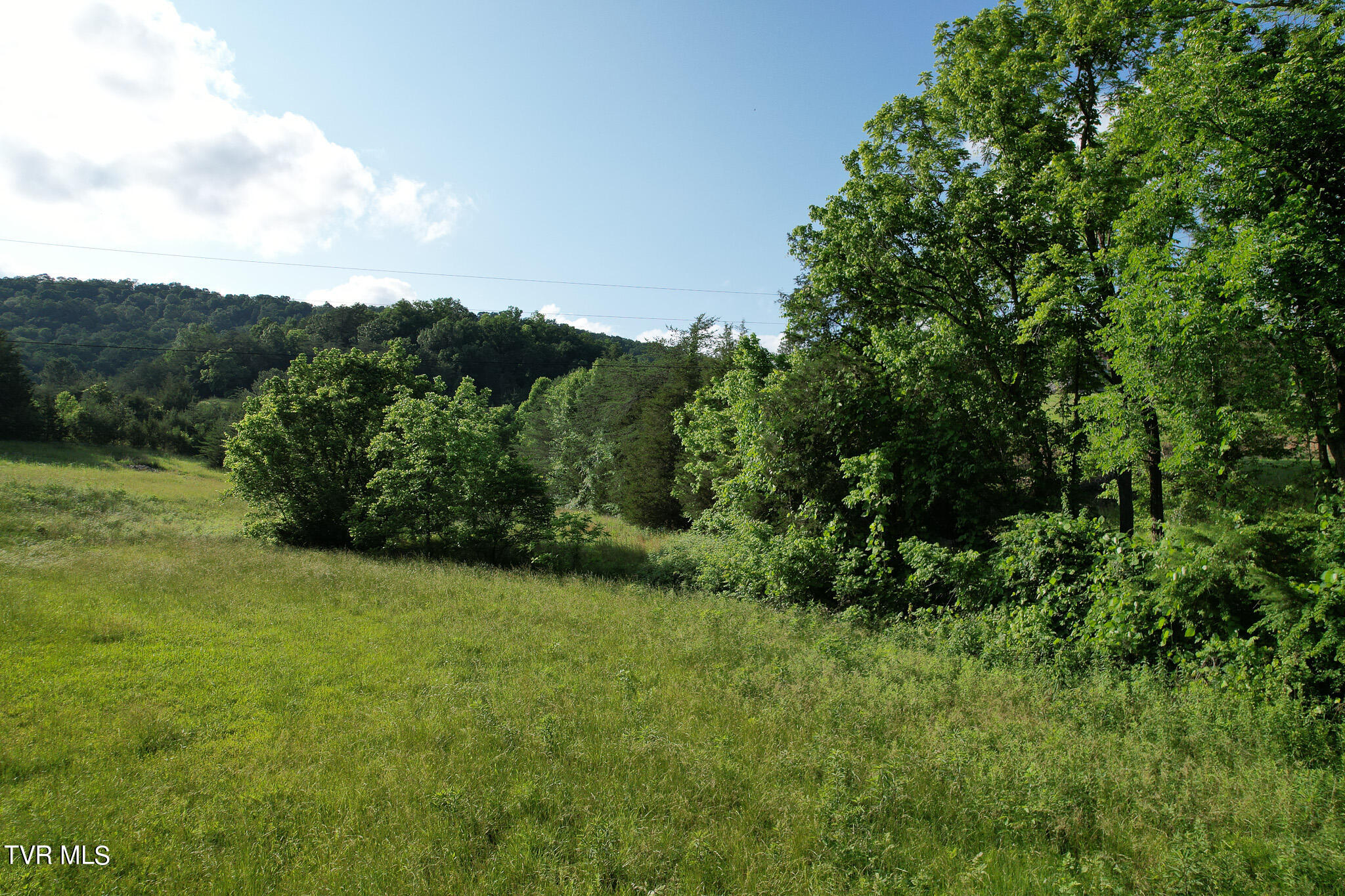 1025 Pilot Mtn Road, Bulls Gap, Tennessee image 13