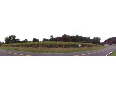 Vacant Land For Sale - 1030 Cummins St (hwy75)<br/> Abingdon, VA 24212
