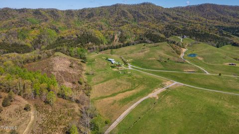 Tiny photo for 2057 Kite Road, Greeneville, TN 37745 (MLS # 9979036)