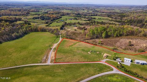 Tiny photo for 2057 Kite Road, Greeneville, TN 37745 (MLS # 9979036)