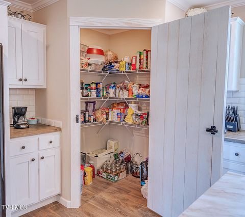 Tiny photo for 2057 Kite Road, Greeneville, TN 37745 (MLS # 9979036)