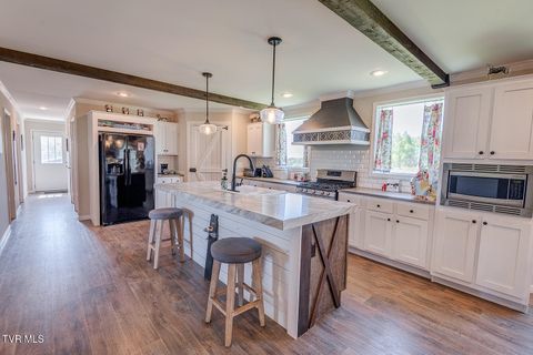 Tiny photo for 2057 Kite Road, Greeneville, TN 37745 (MLS # 9979036)