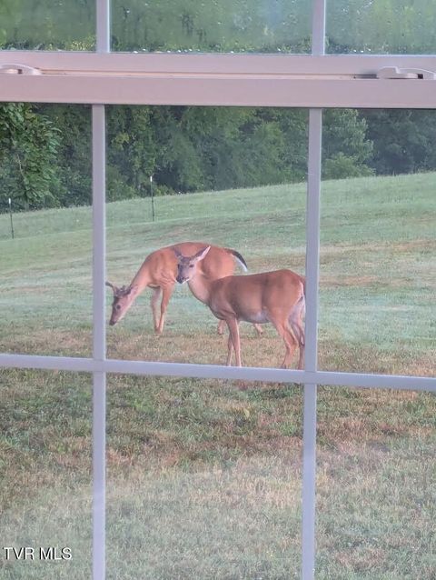 Tiny photo for 2057 Kite Road, Greeneville, TN 37745 (MLS # 9979036)