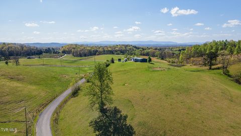 Tiny photo for 2057 Kite Road, Greeneville, TN 37745 (MLS # 9979036)