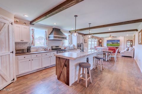 Tiny photo for 2057 Kite Road, Greeneville, TN 37745 (MLS # 9979036)