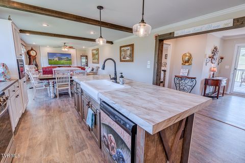 Tiny photo for 2057 Kite Road, Greeneville, TN 37745 (MLS # 9979036)