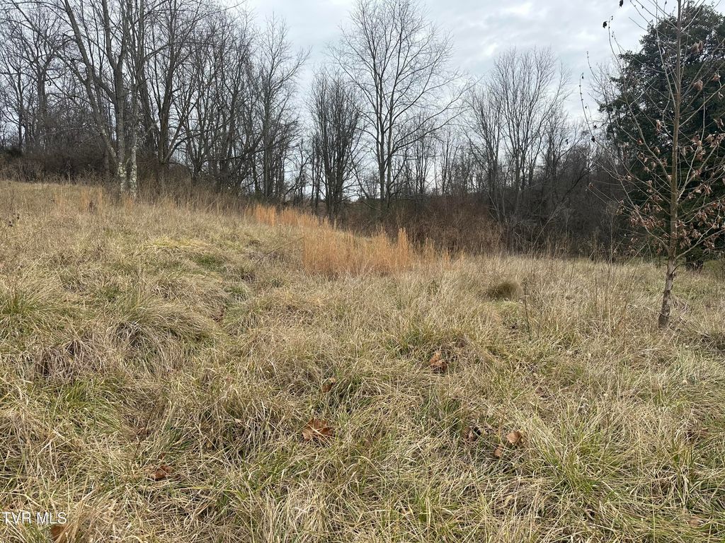 Photo of 21509 Clear Creek Road, Bristol, VA 24202 (MLS # 9989729)