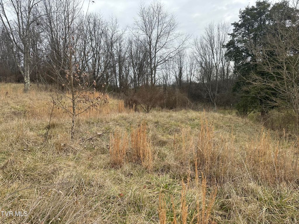 Photo of 21509 Clear Creek Road, Bristol, VA 24202 (MLS # 9989729)