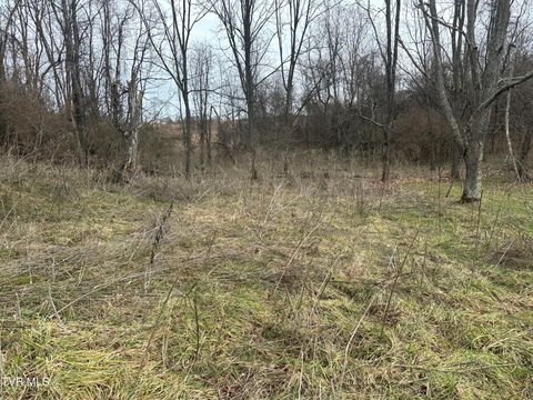 Vacant Land For Sale - 21509 Clear Creek Road<br/> Bristol, VA 24202