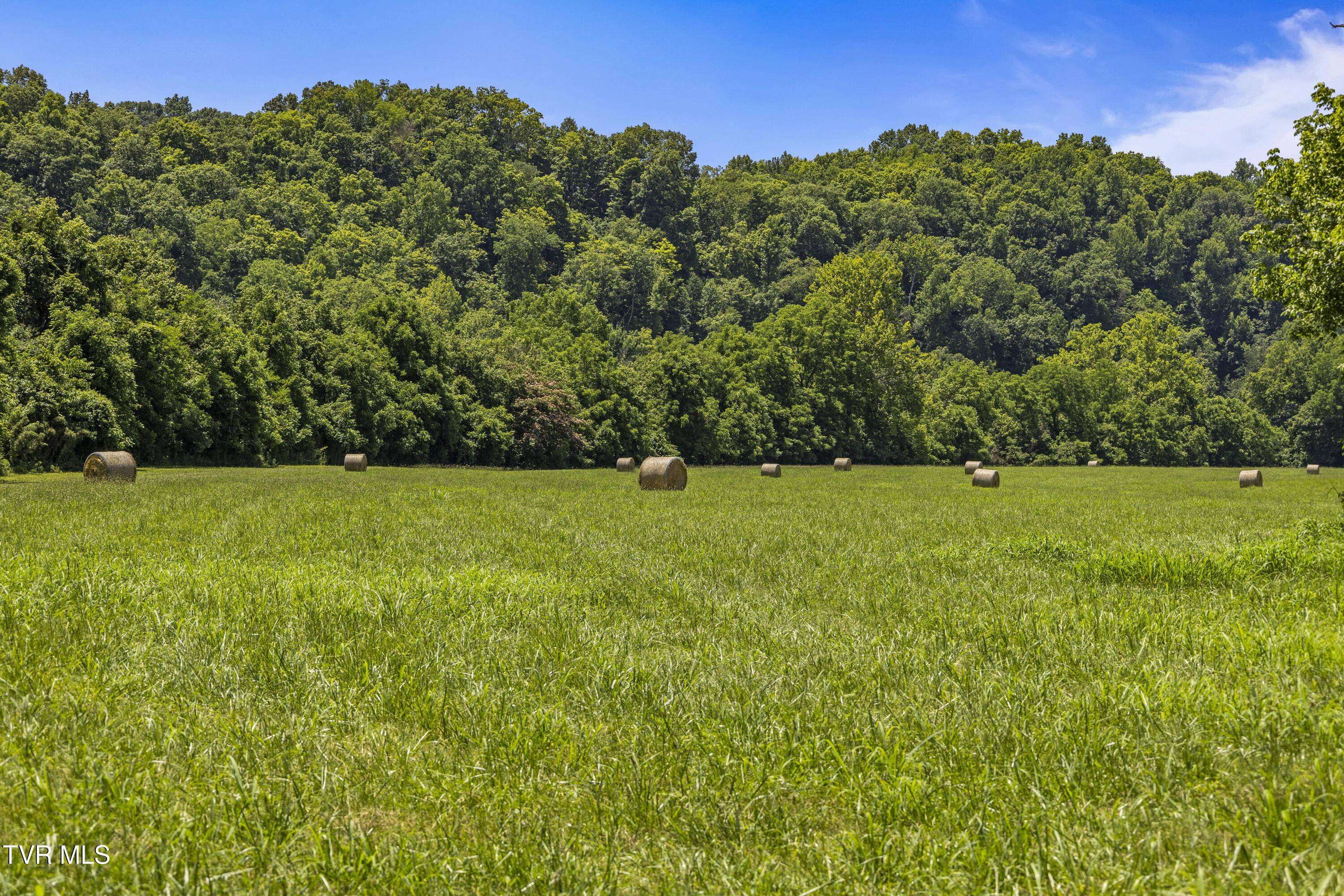 501 Williams Road, Rogersville, Tennessee image 6