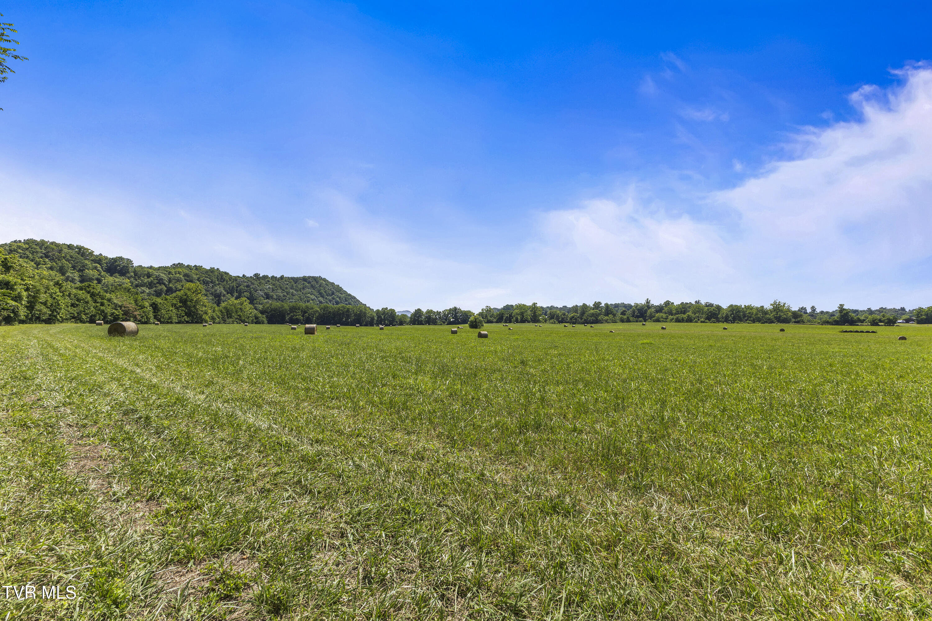 501 Williams Road, Rogersville, Tennessee image 11