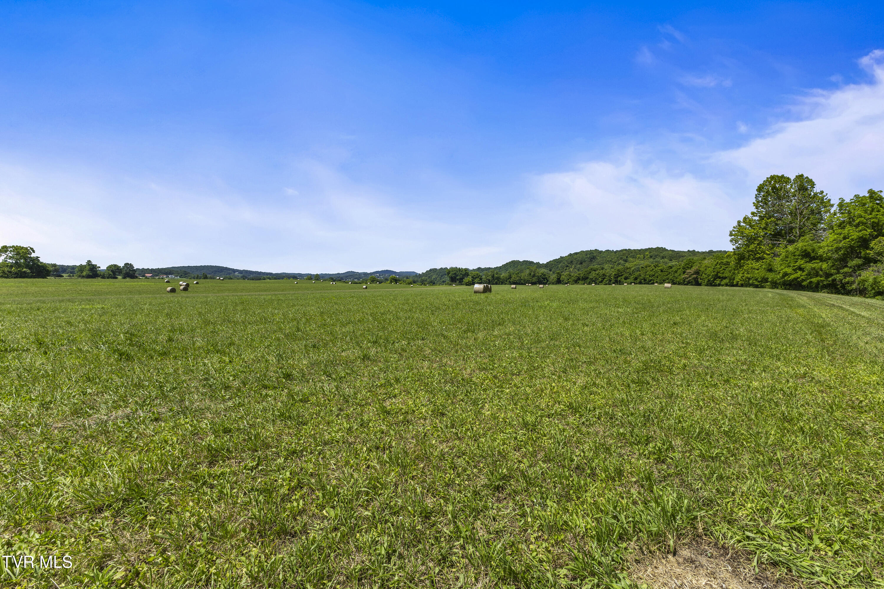 501 Williams Road, Rogersville, Tennessee image 13