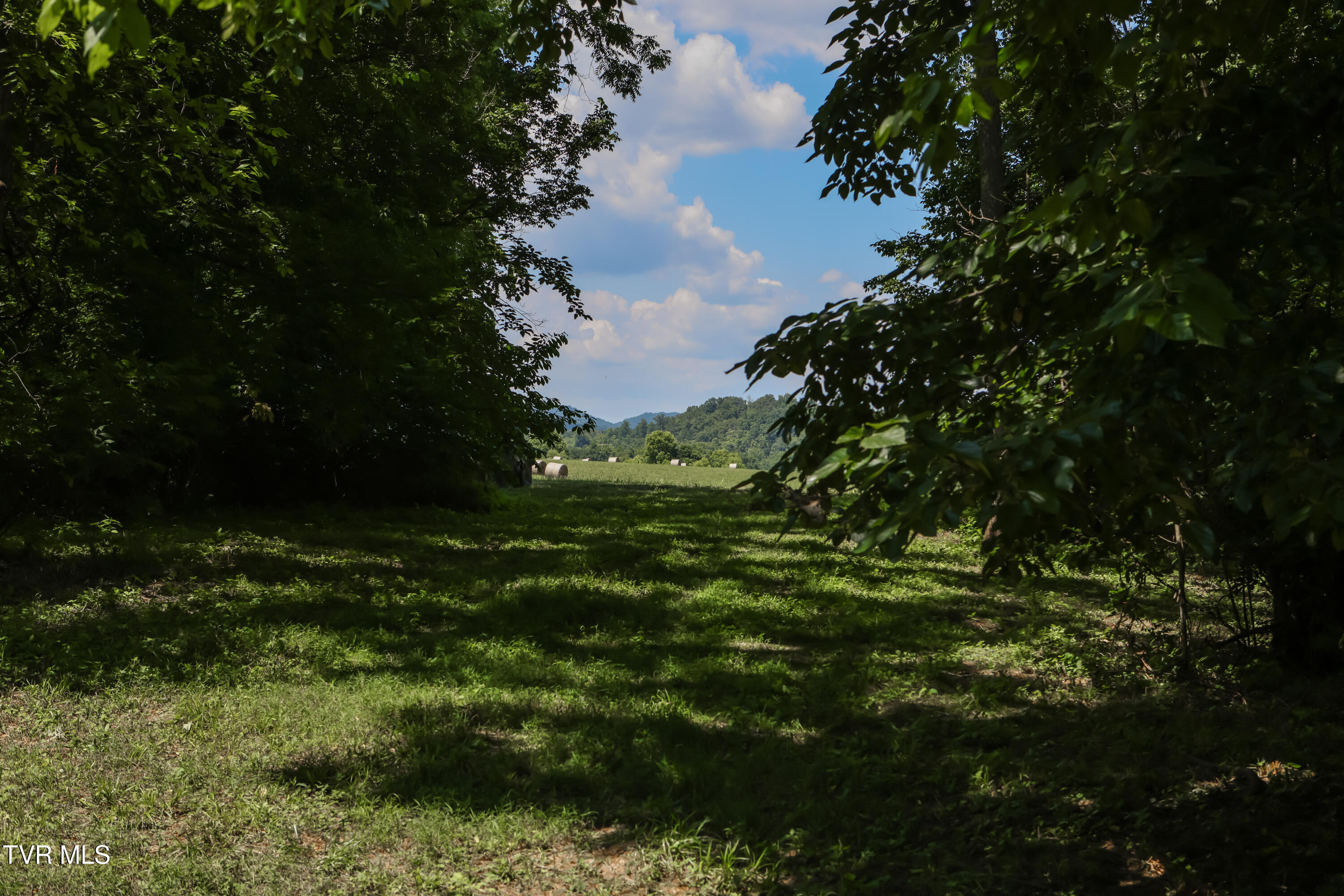 501 Williams Road, Rogersville, Tennessee image 25