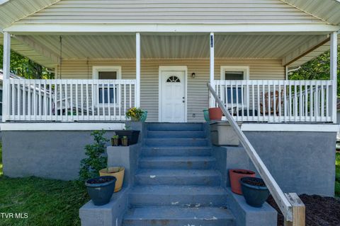 Photo of 304 Chestnut Street, Johnson City, TN 37601 (MLS # 9994676)