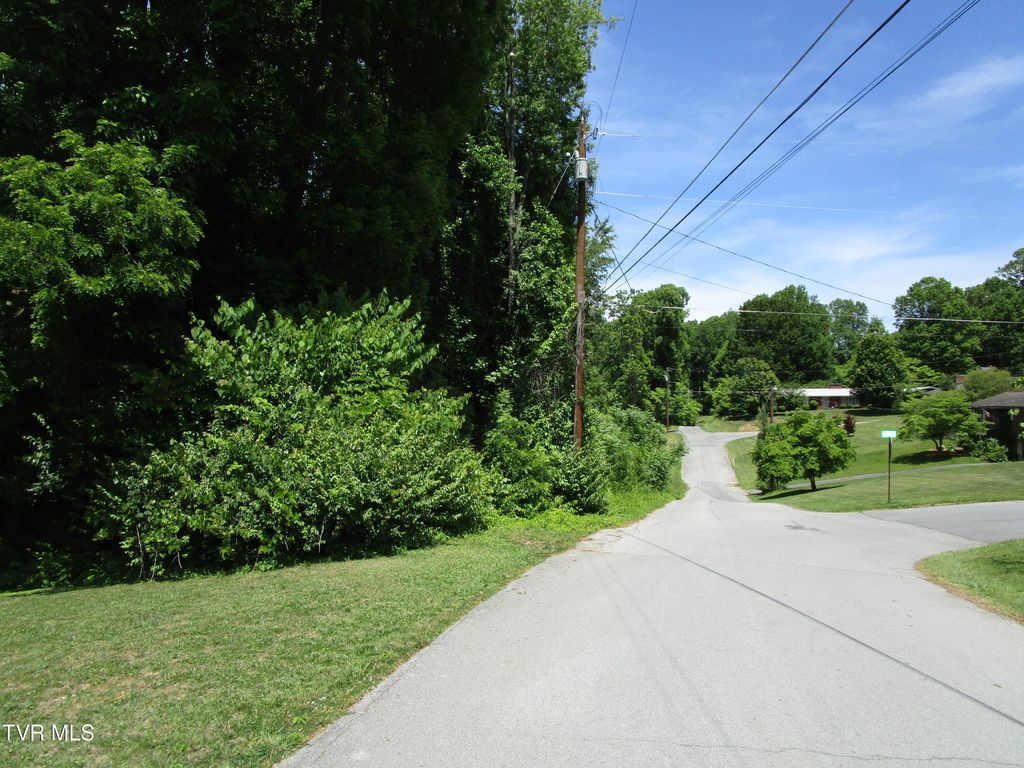 Photo of 00 Shenandoah Drive, Johnson City, TN 37601 (MLS # 9995545)