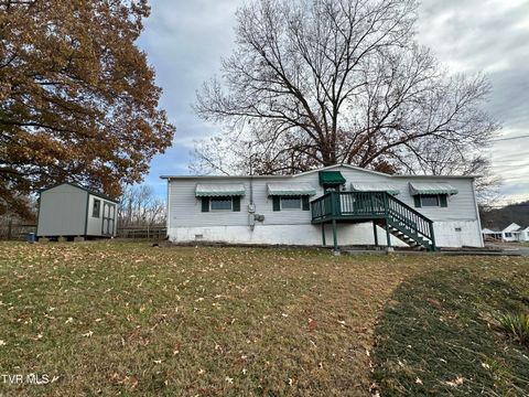 Photo of 1313 Siam Road, Elizabethton, TN 37643 (MLS # 9989149)