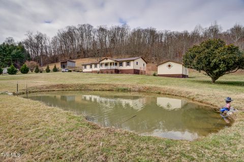 Photo of 257 Cripple Creek Loop, Watauga, TN 37694 (MLS # 9989692)