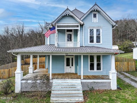 Photo of 220 Unaka Street, Greeneville, TN 37743 (MLS # 9988909)