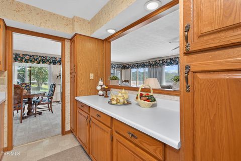 Tiny photo for 22231 Sandcastle Road, Abingdon, VA 24211 (MLS # 9985664)