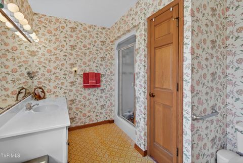 Tiny photo for 22231 Sandcastle Road, Abingdon, VA 24211 (MLS # 9985664)