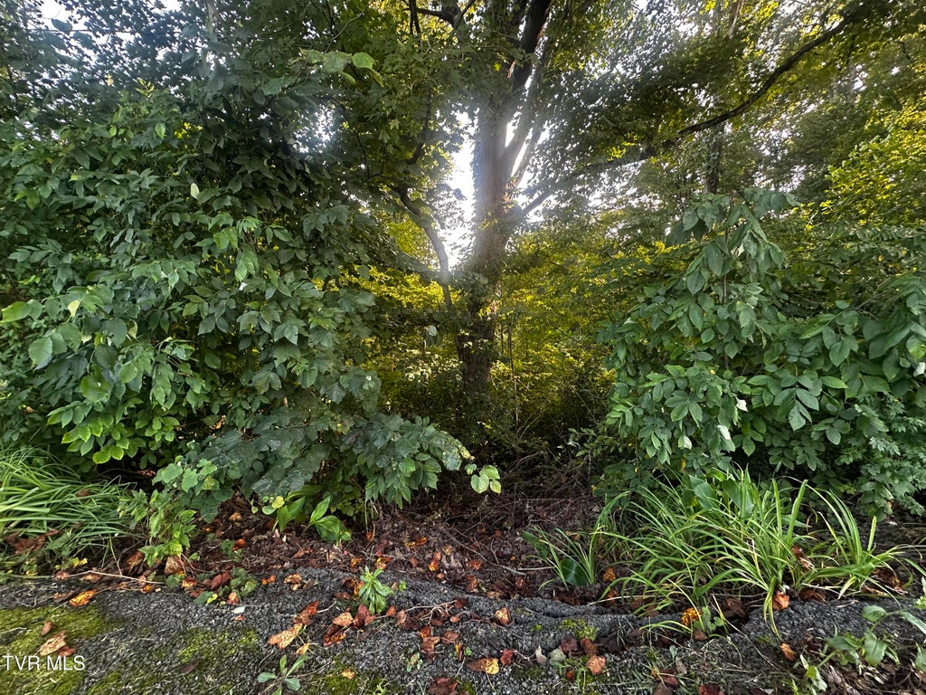 Photo of Tbd Holston Terrace, Weber City, VA 24290 (MLS # 10000626)