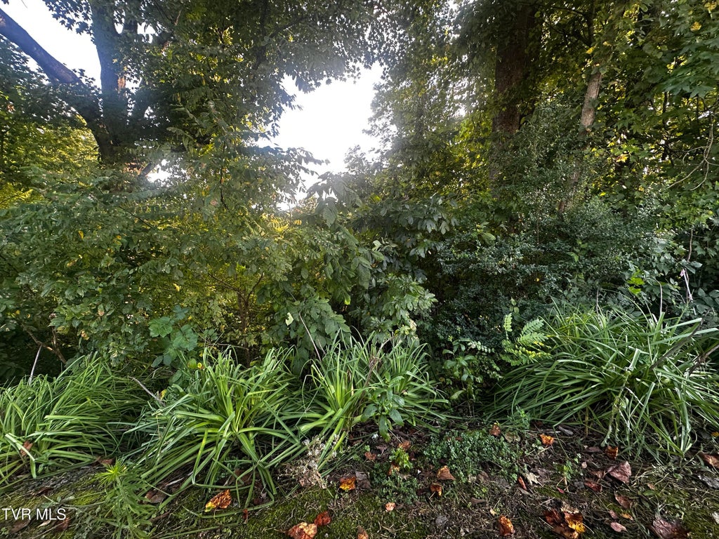 Photo of Tbd Holston Terrace, Weber City, VA 24290 (MLS # 10000626)
