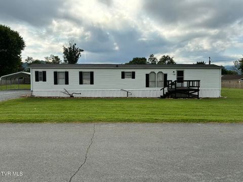 Homes For Sale - 138 Ford Lane<br/> Elizabethton, TN 37643