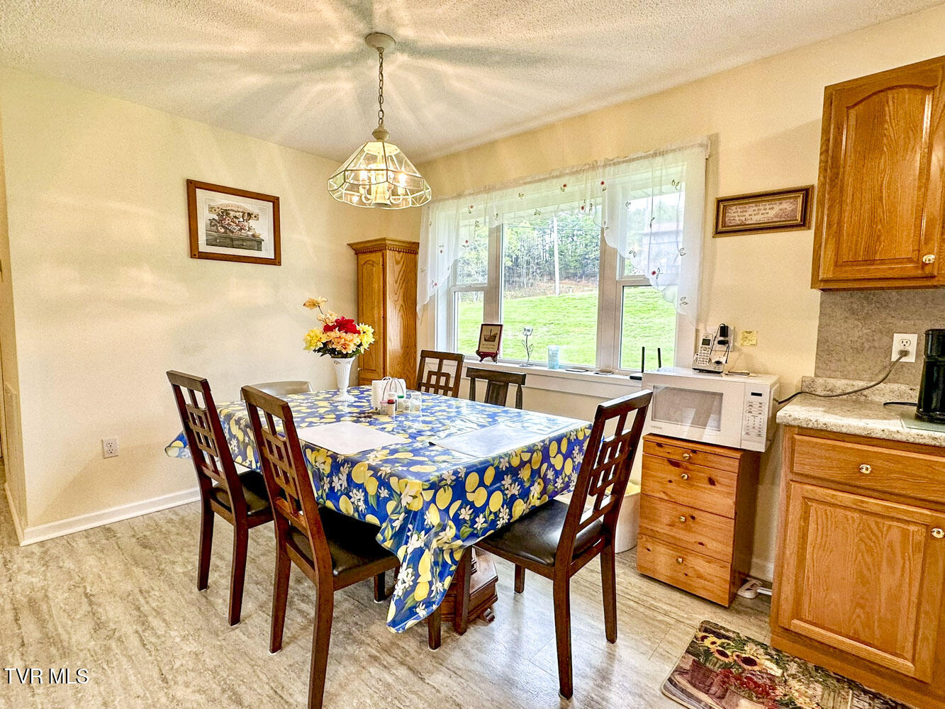 3109 Old Highway 411, Dandridge, Tennessee image 21