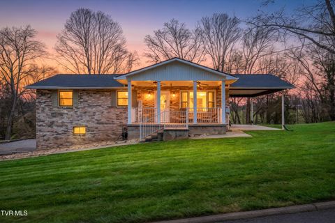 Photo of 159 Pecanwood Drive, Jonesborough, TN 37659 (MLS # 9993205)