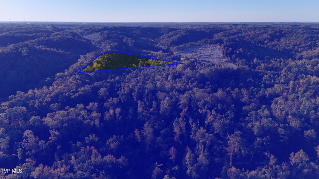 Photo of 0 Ward Hill Road, Holladay, TN 38341 (MLS # 9987504)