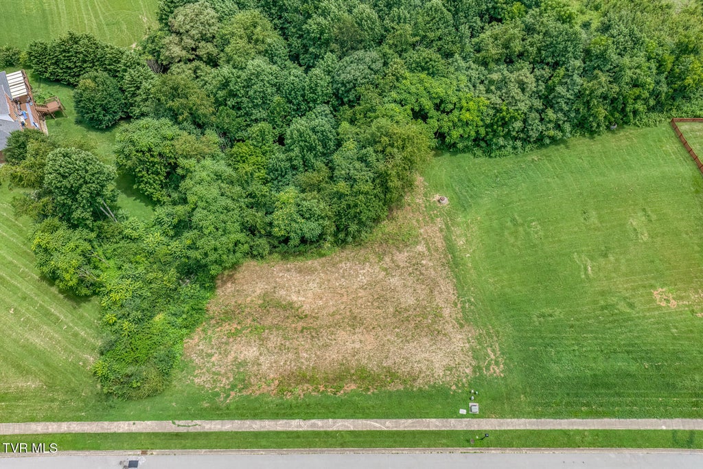 Photo of 119 Simmons Ridge, Johnson City, TN 37604 (MLS # 9998811)