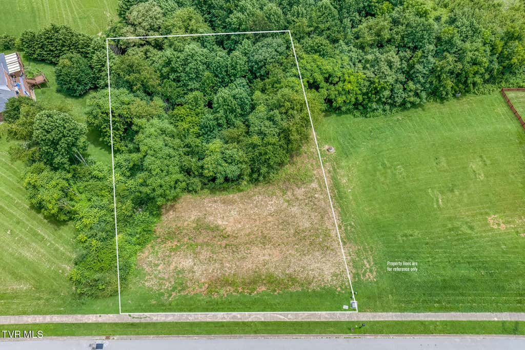 Photo of 119 Simmons Ridge, Johnson City, TN 37604 (MLS # 9998811)