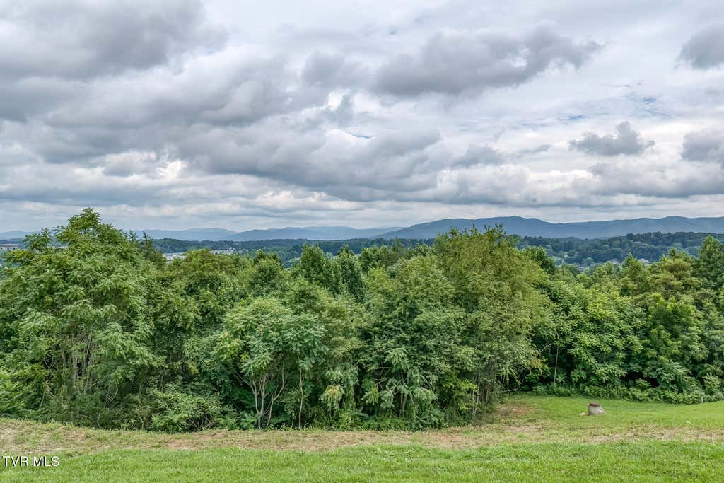 Photo of 119 Simmons Ridge, Johnson City, TN 37604 (MLS # 9998811)