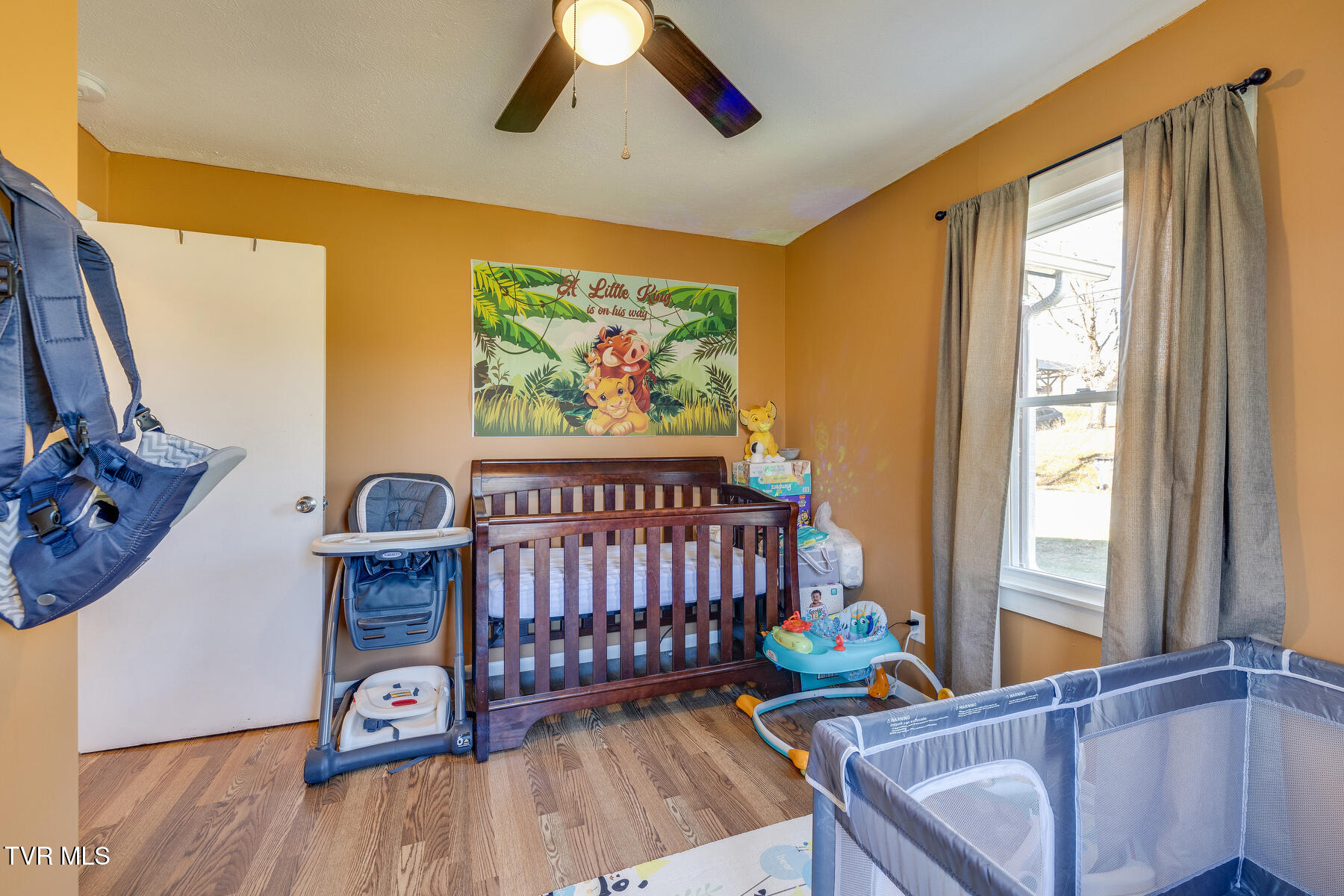 349 Old Thomas Bridge Road Road, Bluff City, Tennessee image 3
