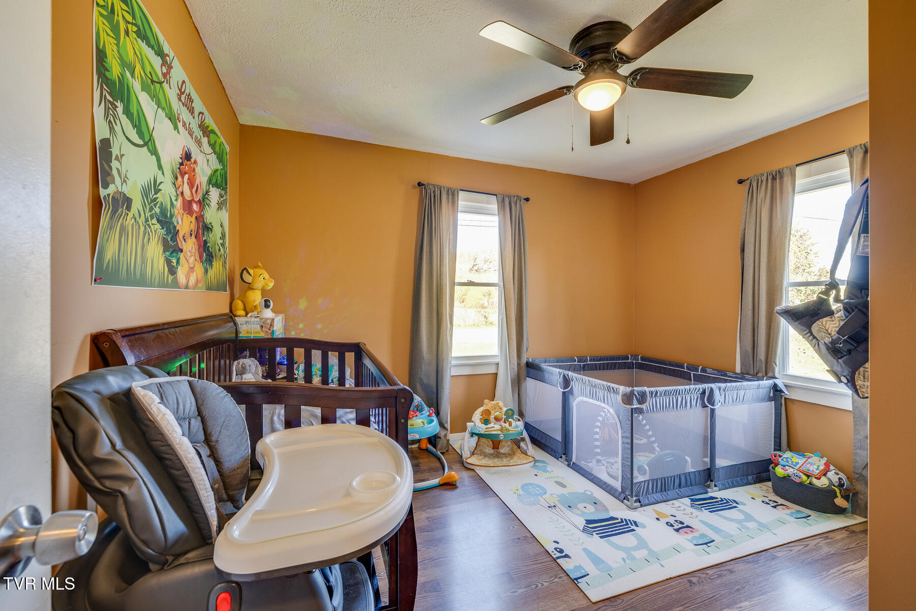 349 Old Thomas Bridge Road Road, Bluff City, Tennessee image 11