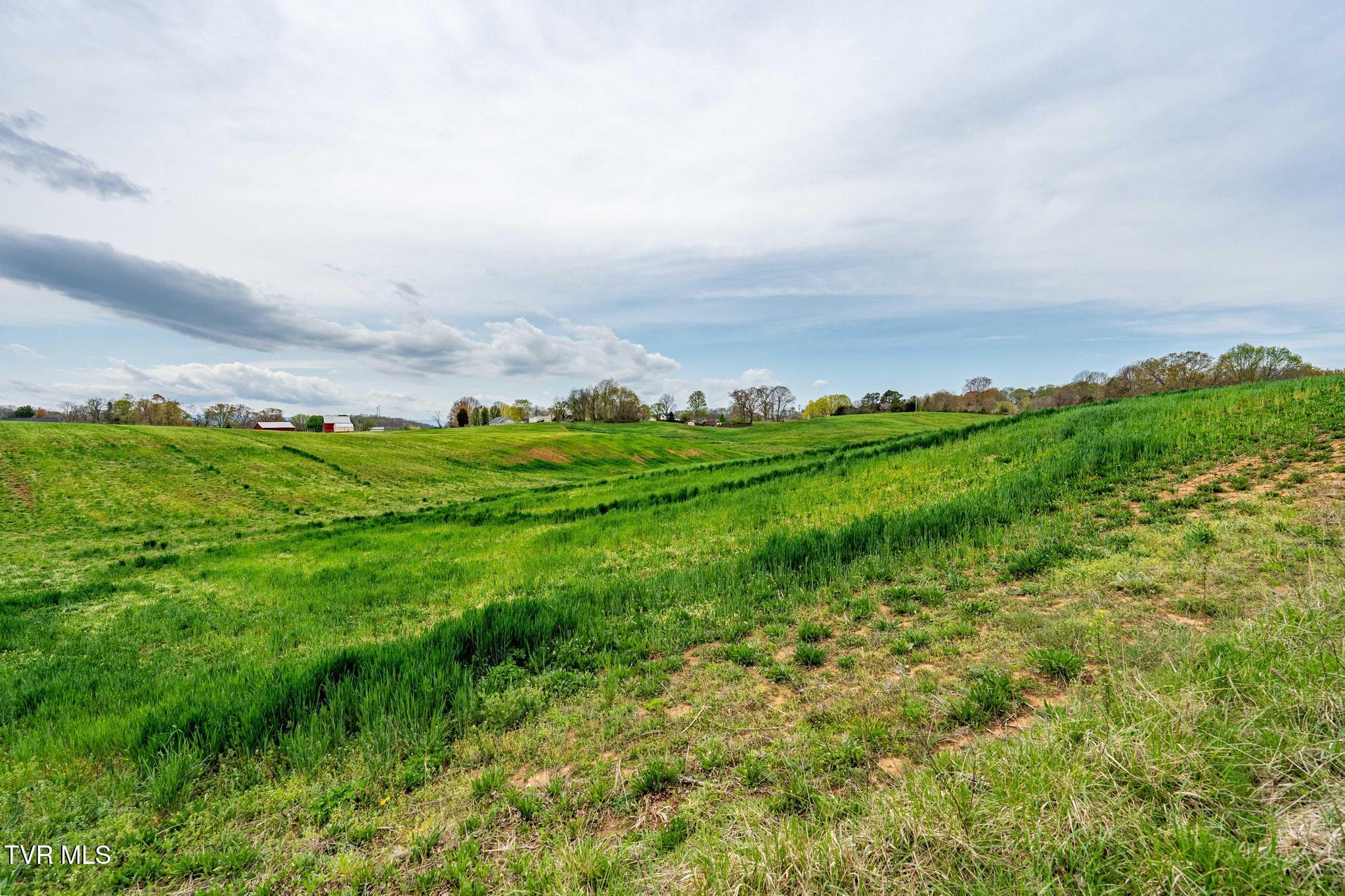 Tbd Highway 81 North, Jonesborough, Tennessee image 42