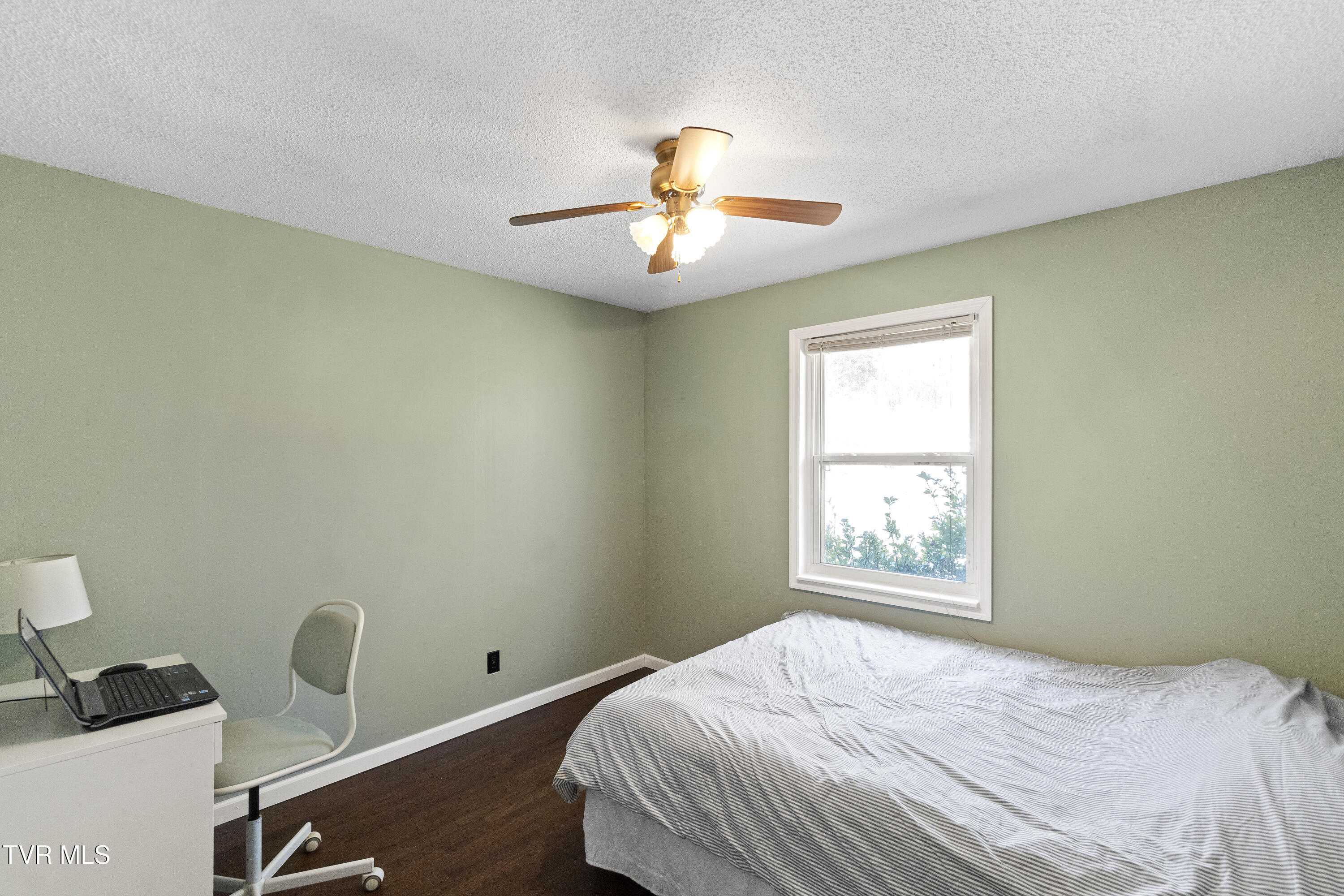 314 Cave Springs Road, Rogersville, Tennessee image 34