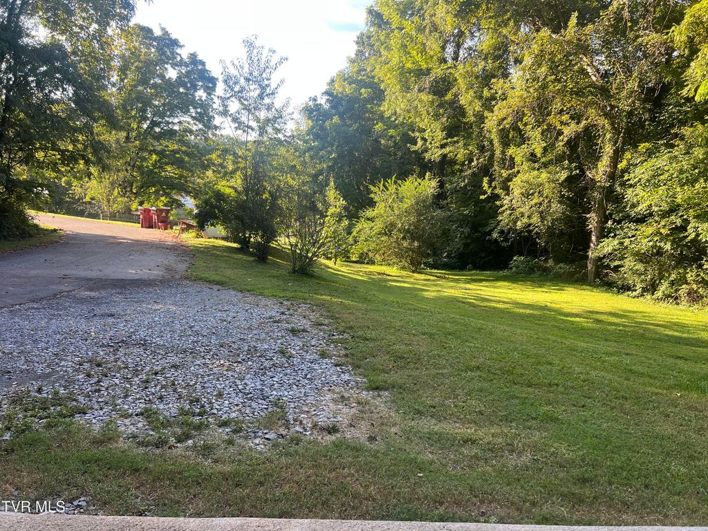 Photo of 8 Vine Lane Lane, Johnson City, TN 37604 (MLS # 9985808)