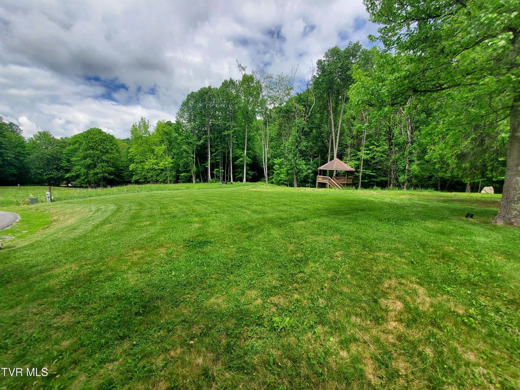Photo of 206 Toms Creek Drive, Roan Mountain, TN 37687 (MLS # 9993002)