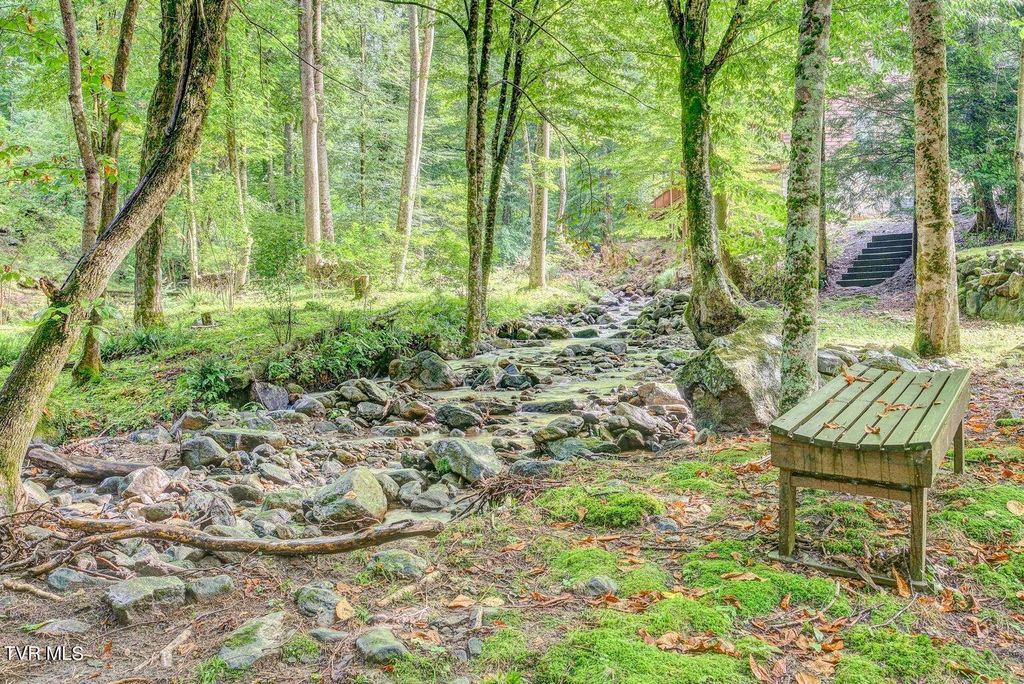Photo of 206 Toms Creek Drive, Roan Mountain, TN 37687 (MLS # 9993002)