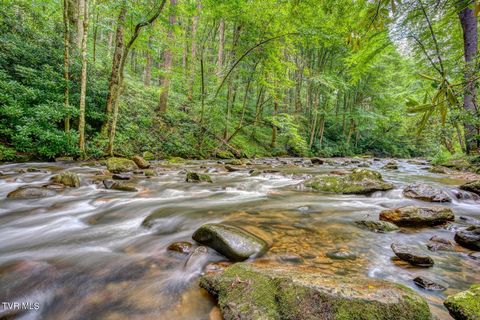 Vacant Land For Sale - 206 Toms Creek Drive<br/> Roan Mountain, TN 37687