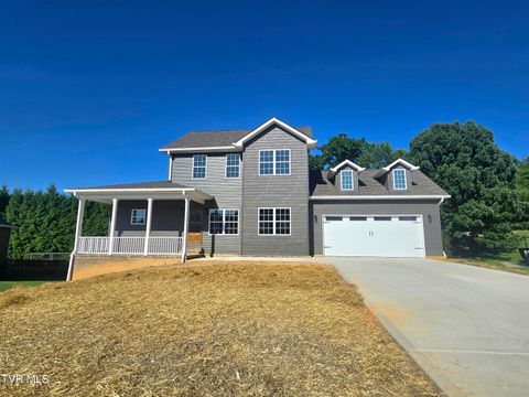 Photo of 372 Wiltshire Drive, Johnson City, TN 37615 (MLS # 9996417)